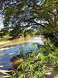 Abfluss des Bueng Lahan in den Chi-Fluss.