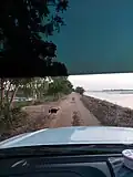 Hochwasserschutzdeich im Subdistrikt Lahan.