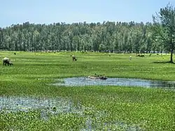 Beispielbild Himchari-Nationalpark