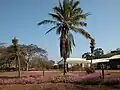 Anlage des Bunda College of Agriculture nahe Lilongwe
