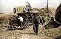 Dreschen in Deutschland (1949)