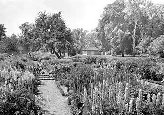 Staudenpflanzung