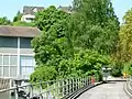 Infanteriebunker Räbhüsli von 1938 über dem EW Rheinau (oben links), 1955 mit Infanteriewerk ergänzt