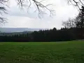 Buntsandsteinstufe im Ulfenbachtal vom sie überragenden Tromm-Rücken aus