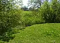 Blick über den Burggraben auf die Fläche, auf der die Hauptburg stand, und den Landauhof.