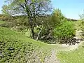 Burggraben und Spuren der Rinder, die um und auf dem Burgberg weiden.