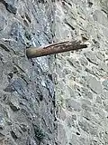 Rüstloch mit Rundholz auf Burg Ardeck bei Diez