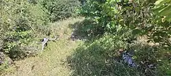 Rechts im Bild: vermutete Turmstelle