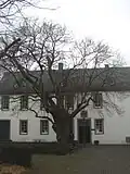 Innenhof mit Kastanie