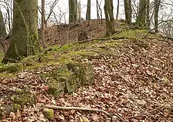 Mauerreste der Burg auf der Kuppe des Großen Everstein