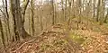 Randbereich der Kuppe des Großen Everstein