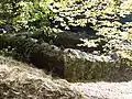Das Burghaus von der das Plateau umgebenden Wehrmauer aus gesehen