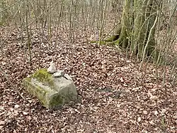 Steinreste auf dem Burgplateau