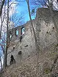 Südwestteil der Burg mit dem Palas und dem Torbau (rechts)