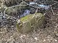Findling am Fuß des Hügels (im Hintergrund: Morast)