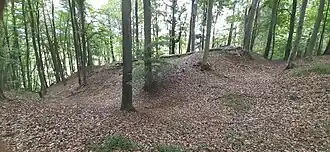 Burgstall mit Halsgraben von Süden