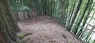 Sporn der Burg zum Tal der Nüst
