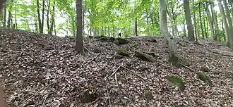 Versturzwall im Westen der Anlage (Reste der Ringmauer?)