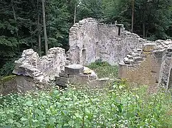 Die Burgkapelle nach der Sicherung der Mauerkronen (August 2007)