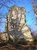 Die erhaltene Südwand des Torturms