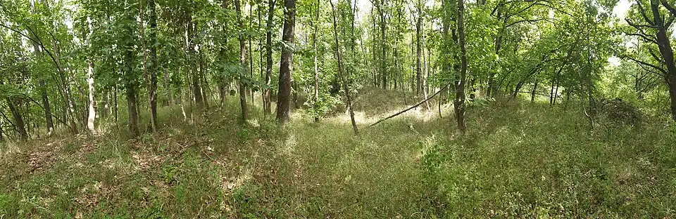Berg- und Burgkuppe, davor der Burggraben
