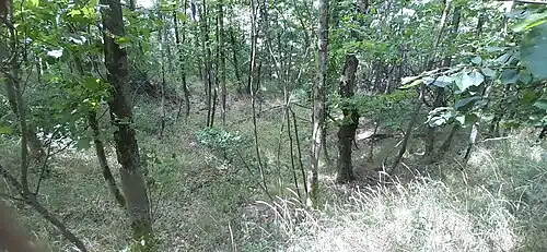 Die vermutliche Stelle des Bergfriedes