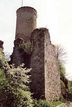 Burgruine Veldenz