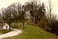 Burgruine Wildenfels
