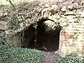 Kellergewölbe 1
