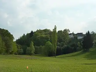 Blick auf den bewaldeten Burgberg aus Nord-Ost