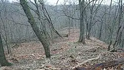 Blick südlich auf die Bastion (Daumen), niedrigste Höhenebene der Hauptburg, 2018