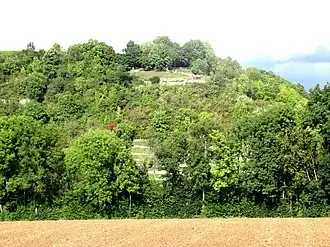 Burgberg mit Aussichtsplattform