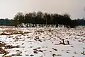 Gesamtansicht Burghügel