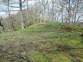 Burgkopf