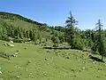 Moränenfeld des postglazialen Edelgrießgletschers in der Burgleit´n nördlich der Austriahütte