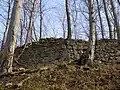 Zwingermauer vom Burggraben aus gesehen