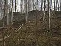 Zwingermauer vom Burggraben aus gesehen
