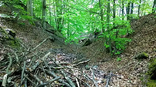 Der Halsgraben