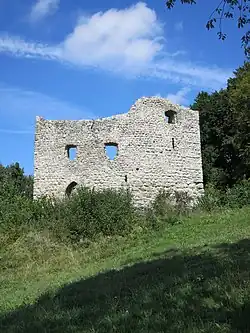 Bild des Objektes