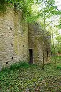Zwingermauer der Reichelsburg