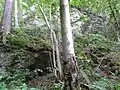 Mauerwerk unterhalb des Burgplatzes