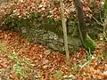 Burgruine Wildeneck: Turmrest