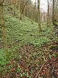 Burgruine Wildeneck: Halsgraben