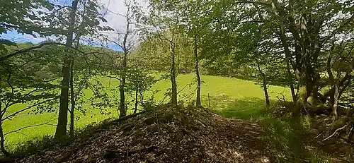 Blick vom Burgschell-Zugang Richtung Vorberg; links Turmreste, die zu beiden Seiten des Gratweges liegen