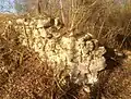 Mauerreste