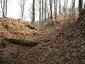 Der innere Halsgraben des Öden Schlosses