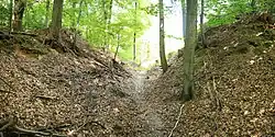 Bild 5: Der Abschnittsgraben zwischen Hauptburg rechts und Vorburg aus südlicher Richtung (2010)