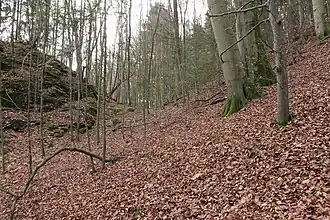 Bild 6: Profil des Grabens, links die Burgstelle (Dezember&nbsp;2014)