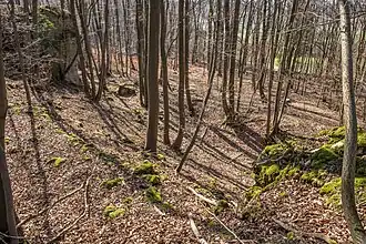 Bild 9: Blick von Nordteil des Burgfelsens auf die Einmuldung sowie den Ringgraben und Ringwall (März&nbsp;2015)