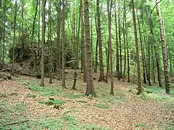 Hagfelsen bei Burkartshof